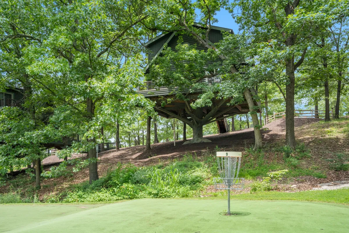 A scenic exterior shot showing a disc golf basket and a whimsical treehouse surrounded by tall trees, evoking a playful, natural setting. The area is bathed in sunlight, inviting family gatherings and outdoor games.